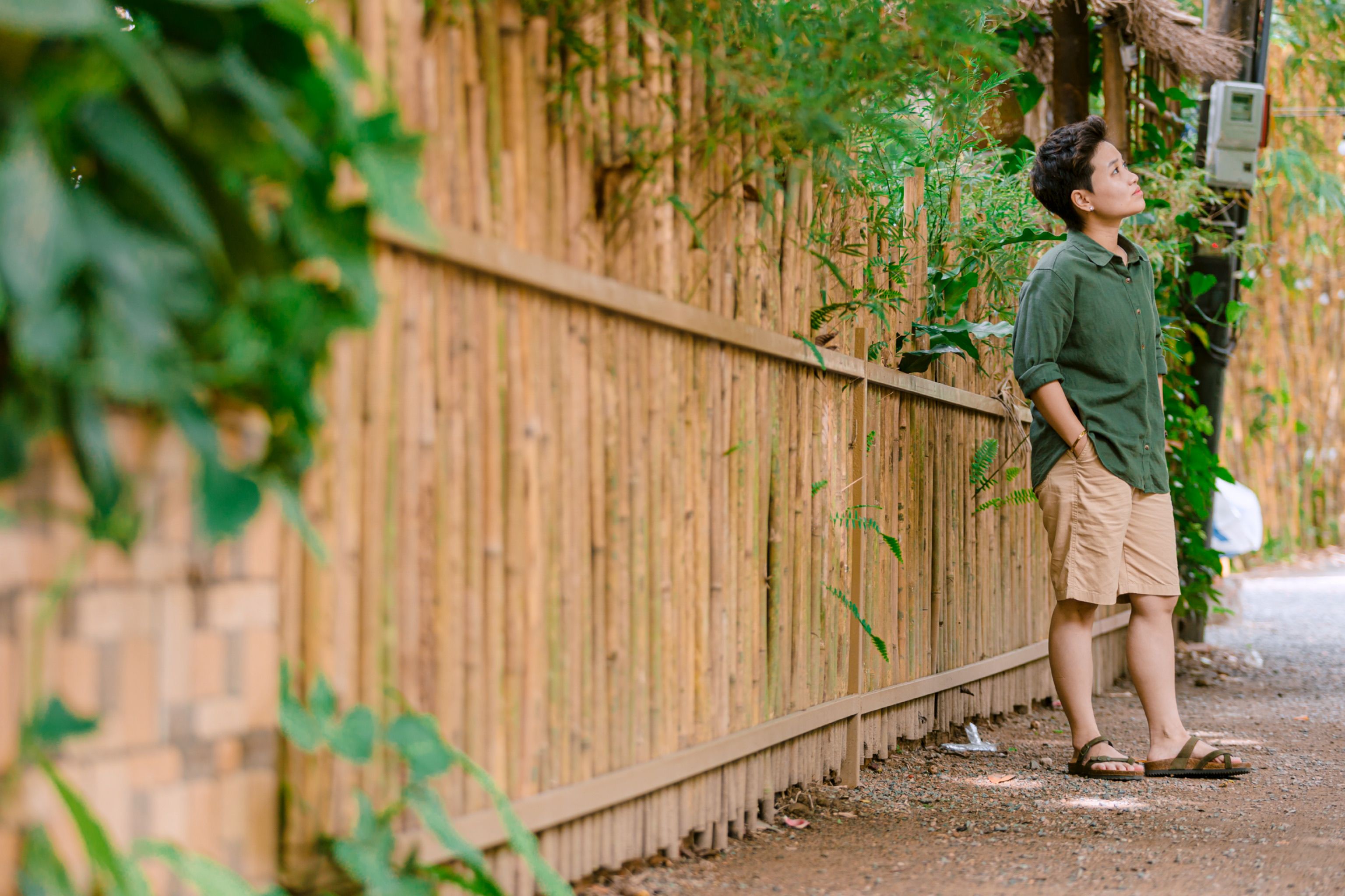 Bamboo fence in a lush outdoor garden setting